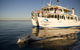 Jervis Bay Dolphin Watch Cruise - thumb 3