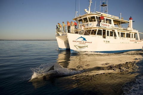 Jervis Bay Dolphin Watch Cruise - Restaurant Canberra 3