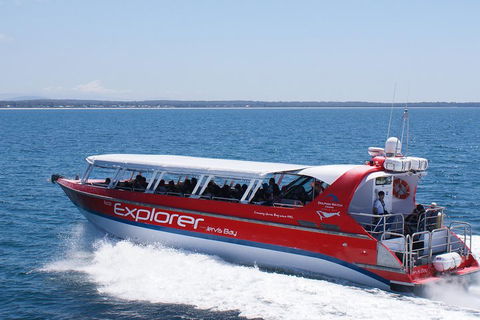 Whale Watching Jervis Bay - Restaurant Canberra 1