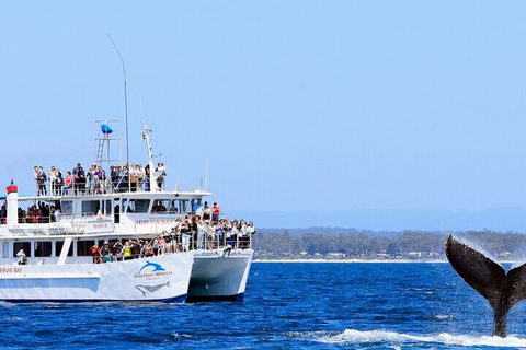 Whale Watching Jervis Bay - Restaurant Canberra 4