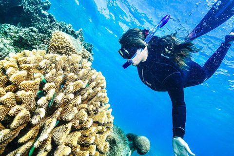 Green Island Day Trip From Cairns - Restaurant Canberra 1