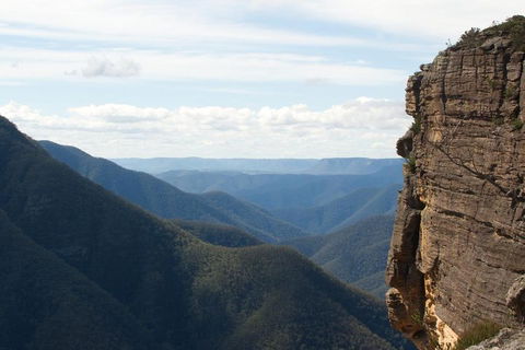 Inside The Greater Blue Mountains World Heritage - A Private Wildlife Safari Overnight - Restaurant Canberra 4
