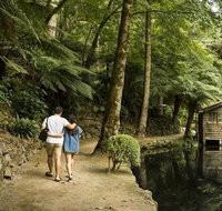 Discover Tour Dandenong Ranges  William Ricketts Sanctuary - Restaurant Canberra