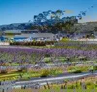 Private Hobart Discover South East Food and Scenic Tour - Restaurant Canberra