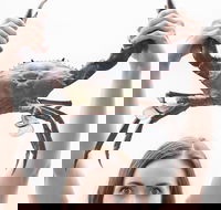 The Ultimate Gold Coast Attractions Pass