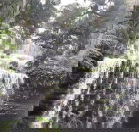 6-Day Hearty Tasmania Tour Tasmania in a Circle - Restaurant Canberra