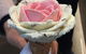 Sydney Food Tour: A Taste Of Chinatown - thumb 5
