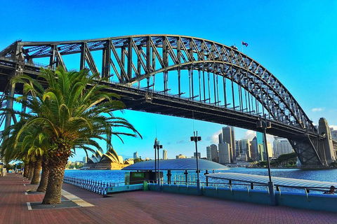 Sydney Half Day Tour With A Local: 100% Personalized & Private â˜…â˜…â˜…â˜…â˜… - Restaurant Canberra 1