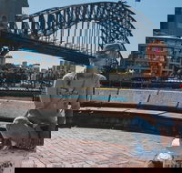 Sydney Food Tour with a Local Guide Private  Personalized  - Restaurant Canberra