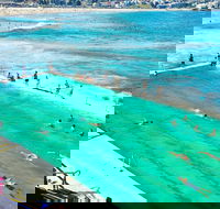 Sydney City Harbour  Bondi Private Tour with Airport pick up or drop off - Restaurant Canberra
