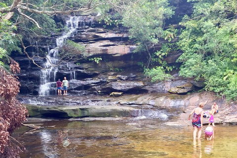 Central Coast Private Tour From Sydney, With Australian Reptile Park Option - Restaurant Canberra 0