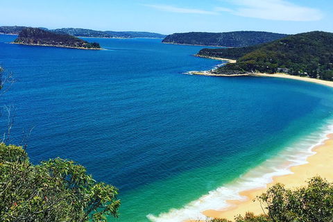 Central Coast Private Tour From Sydney, With Australian Reptile Park Option - Restaurant Canberra 5