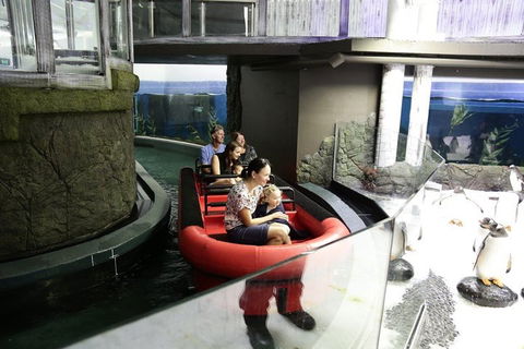 Sydney Attractions Pass: SEA LIFE Aquarium, Sydney Tower Eye, WILD LIFE Zoo And Madame Tussauds - Restaurant Canberra 0