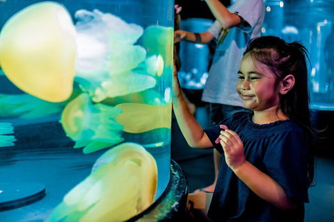 SEA LIFE Sydney Aquarium Entrance Ticket - Restaurant Canberra 5