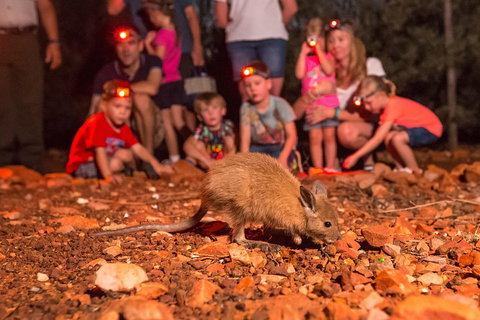 Alice Springs Desert Park Nocturnal Tour - Restaurant Canberra 1