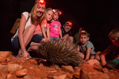 Alice Springs Desert Park Nocturnal Tour - Restaurant Canberra 5