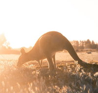 Small Group Mornington Peninsula Hike and Hot Springs Day Tour from Melbourne - Restaurant Canberra