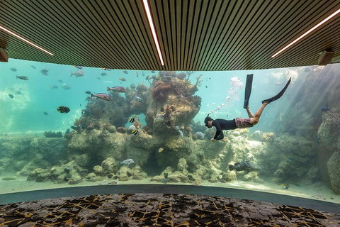 Whitehaven Beach And Daydream Island Cruise - Restaurant Canberra 4