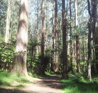Dandenong Ranges Private Tour Including William Ricketts Sanctuary - Restaurant Canberra