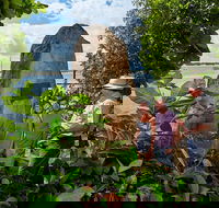 3 Day Cape Tribulation  Cooktown Tour from Cairns or Port Douglas - Restaurant Canberra