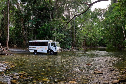 3 Day Cape Tribulation & Cooktown Tour From Cairns Or Port Douglas - Restaurant Canberra 3