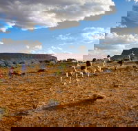 Mount Conner 4WD Small Group Tour from Ayers Rock including Dinner - Restaurant Canberra