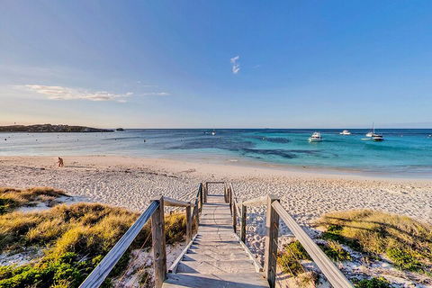 Discover Rottnest With Ferry & Bus Tour From Perth Or Fremantle - Restaurant Canberra 4