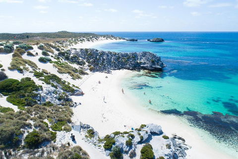 Discover Rottnest With Ferry & Bus Tour From Perth Or Fremantle - Restaurant Canberra 5
