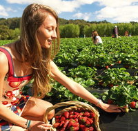 Mornington Peninsula Day Trip from Melbourne - Restaurant Canberra