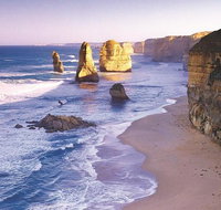 Melbourne Combo Great Ocean Road Puffing Billy Moonlit Sanctuary  Penguins - Restaurant Canberra