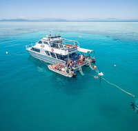 Ocean Freedom Great Barrier Reef Personal Luxury Snorkel  Dive Cruise Cairns - Restaurant Canberra