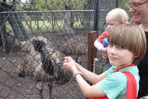Swan Valley Half-Day Food Tour And Wine Trail From Perth - Restaurant Canberra 5
