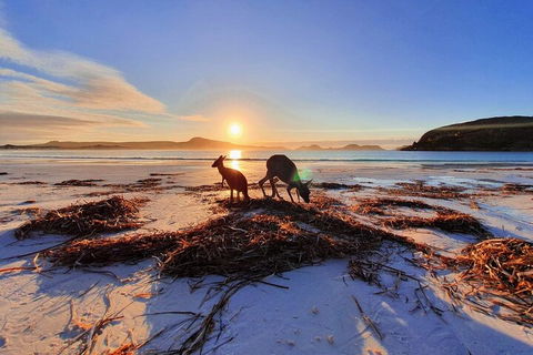 10-Day Perth To Adelaide Adventure Tour - Restaurant Canberra 1
