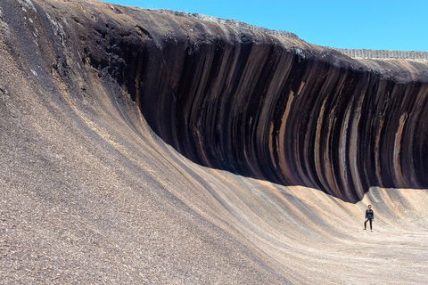 10-Day Perth To Adelaide Adventure Tour - Restaurant Canberra 3