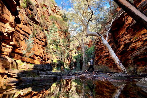 10-Day Adelaide To Perth Adventure Tour - Restaurant Canberra 5