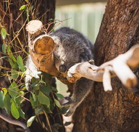 Melbourne City Tour and Phillip Island in One Day - Restaurant Canberra