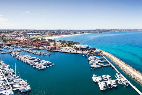 Snorkel With Sharks At AQWA - Restaurant Canberra 3