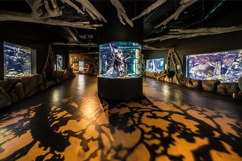 Cairns Aquarium Admission Ticket - Restaurant Canberra 1