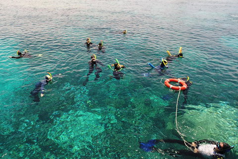 Seastar Luxury Outer Great Barrier Reef Island And Reef Tour From Cairns - Restaurant Canberra 2