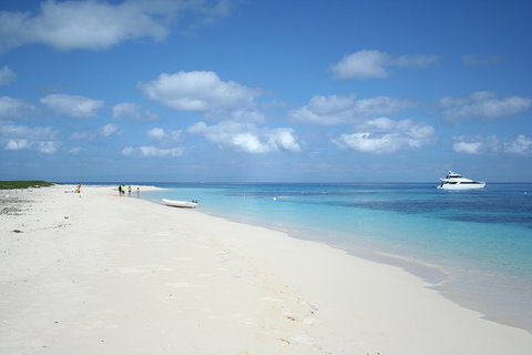 Seastar Luxury Outer Great Barrier Reef Island And Reef Tour From Cairns - Restaurant Canberra 3
