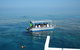 Seastar Luxury Outer Great Barrier Reef Island And Reef Tour From Cairns - thumb 5