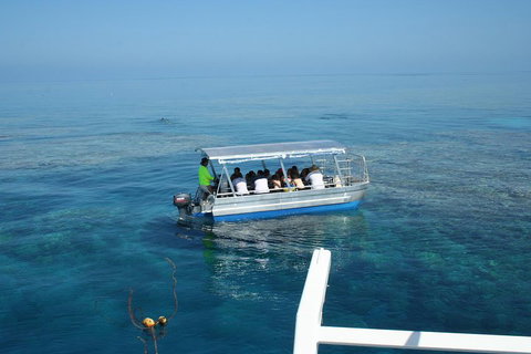 Seastar Luxury Outer Great Barrier Reef Island And Reef Tour From Cairns - Restaurant Canberra 5