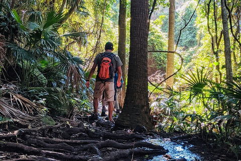 Hike To The Figure Eight Pools - Restaurant Canberra 0