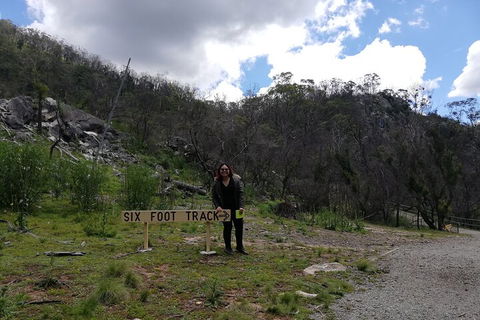 Blue Mountains Private Tour From Sydney With Jenolan Caves - Restaurant Canberra 3