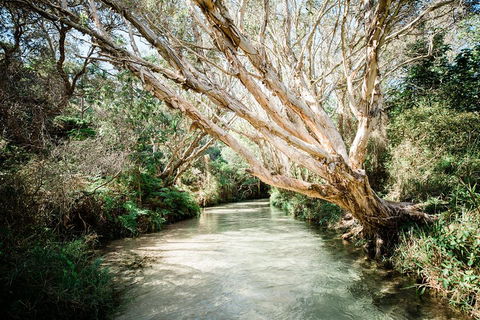 3-Day Fraser Island Resort Package - Restaurant Canberra 5
