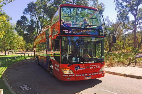 Perth Hop-On Hop-Off Bus Tour - Restaurant Canberra 4
