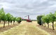 Private Helicopter Flight To Hunter Valley With A La Carte Lunch - For 2 - thumb 4