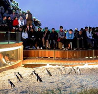 Great Ocean Road  Phillip Island - 3 Days 2 Nights - Restaurant Canberra