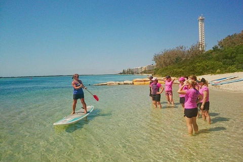 Golden Beach 1-Hour Stand-Up Paddleboard Hire On The Sunshine Coast - Restaurant Canberra 1