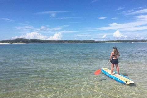 Golden Beach 1-Hour Stand-Up Paddleboard Hire On The Sunshine Coast - Restaurant Canberra 4
